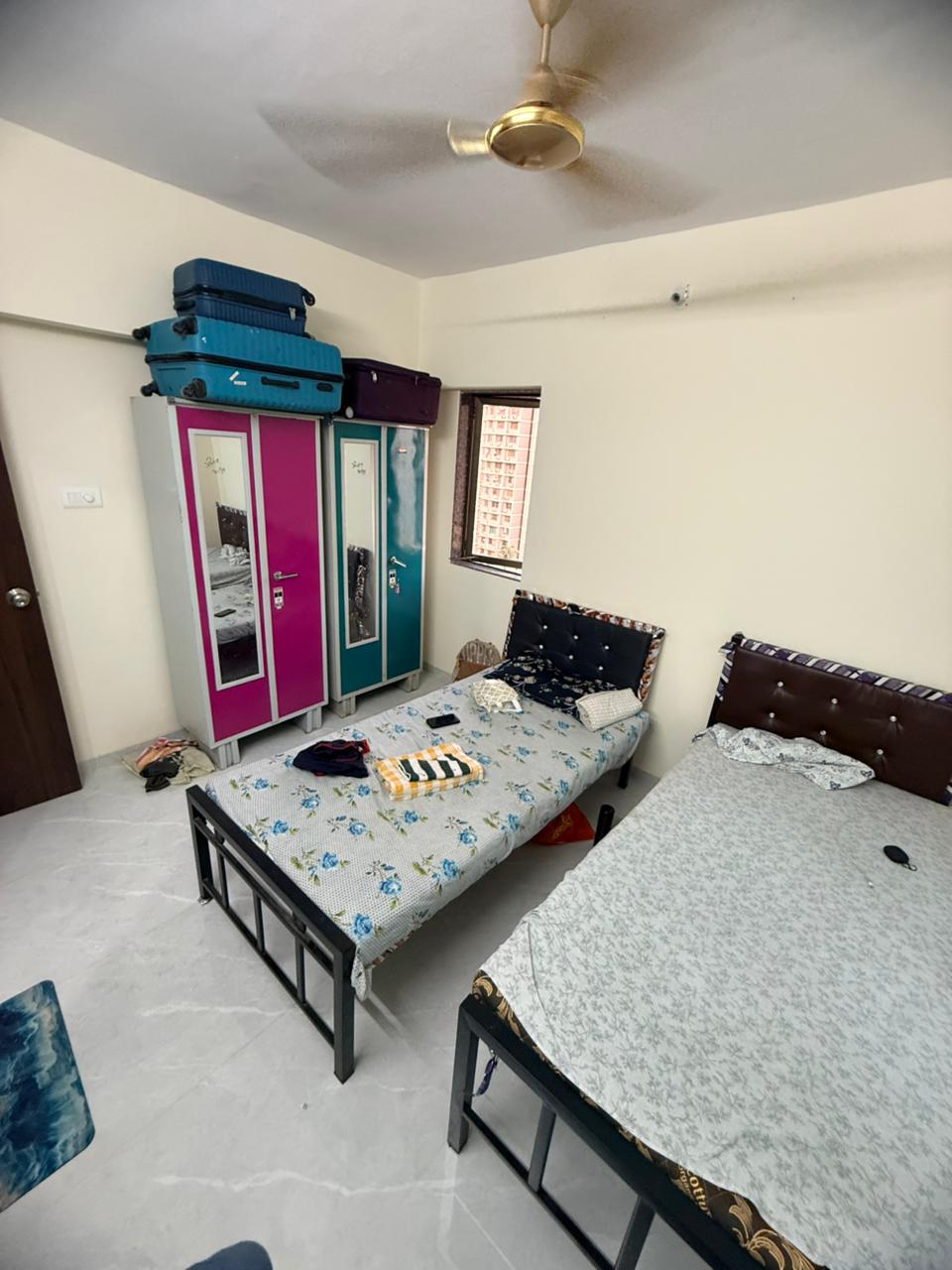 Executive Single Suite
